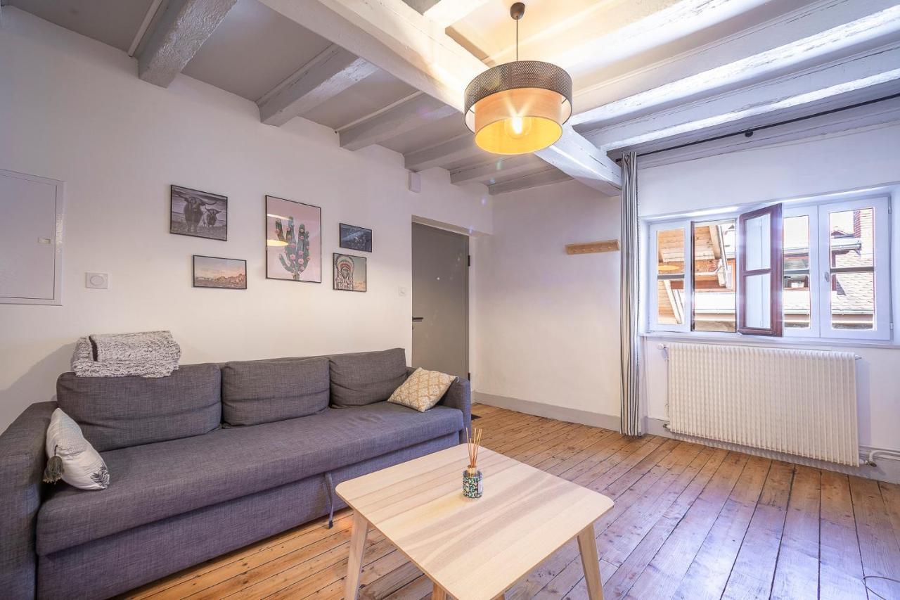 Bel Appartement, 2 Chambres, Annecy Coeur De Ville Eksteriør bilde